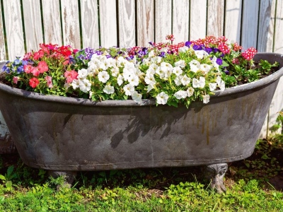 Shocking Household Items You Can Repurpose for Your Garden