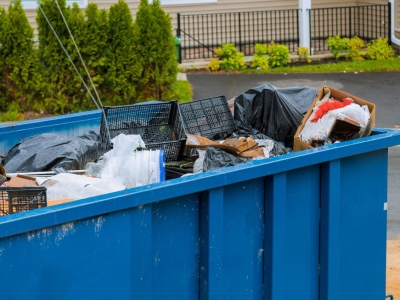 The Biggest Consequences of Illegal Dumping