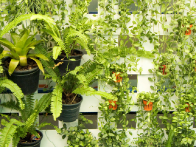 Vertical Gardening Made Easy: Small Space Tips + Dumpster Cleanup Guide