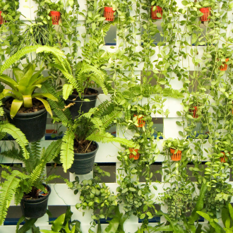 Vertical Gardening Made Easy: Small Space Tips + Dumpster Cleanup Guide Vertical Gardening Made Easy: Small Space Tips + Dumpster Cleanup Guide