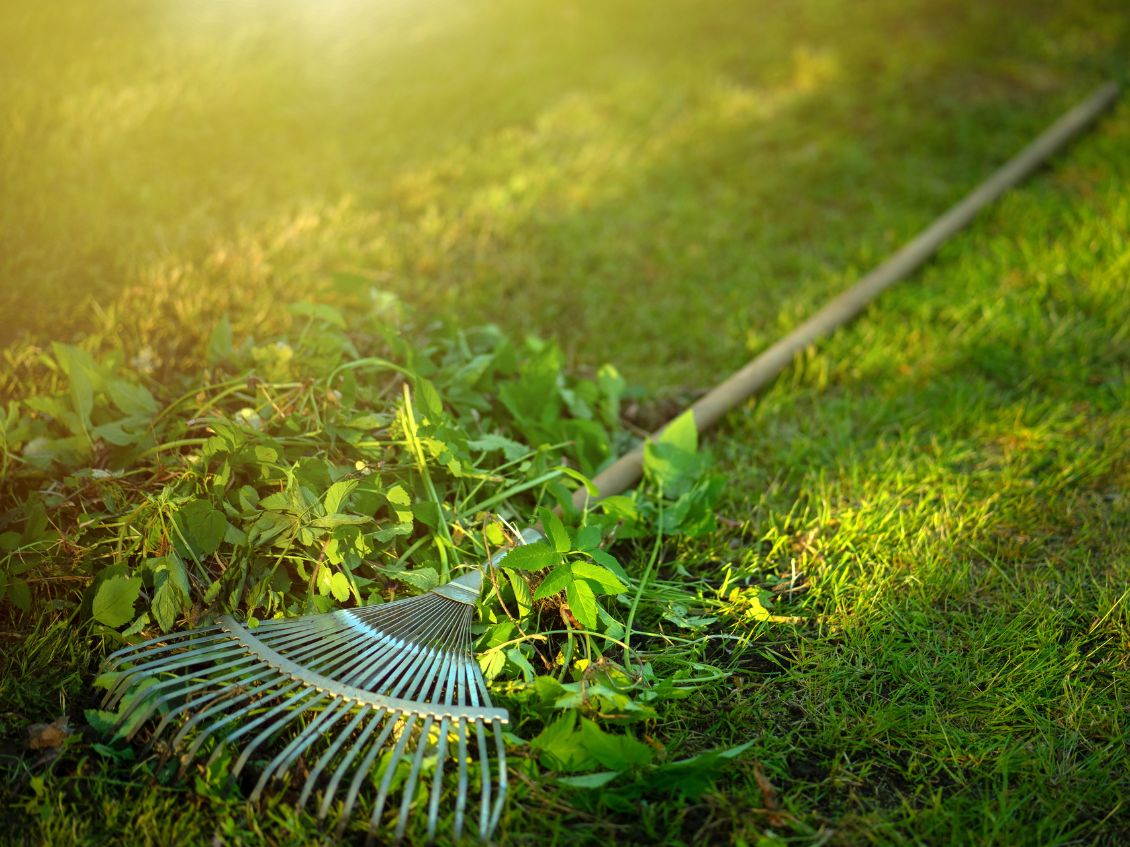 When Is the Best Time to Start Your Spring Yard Cleanup?