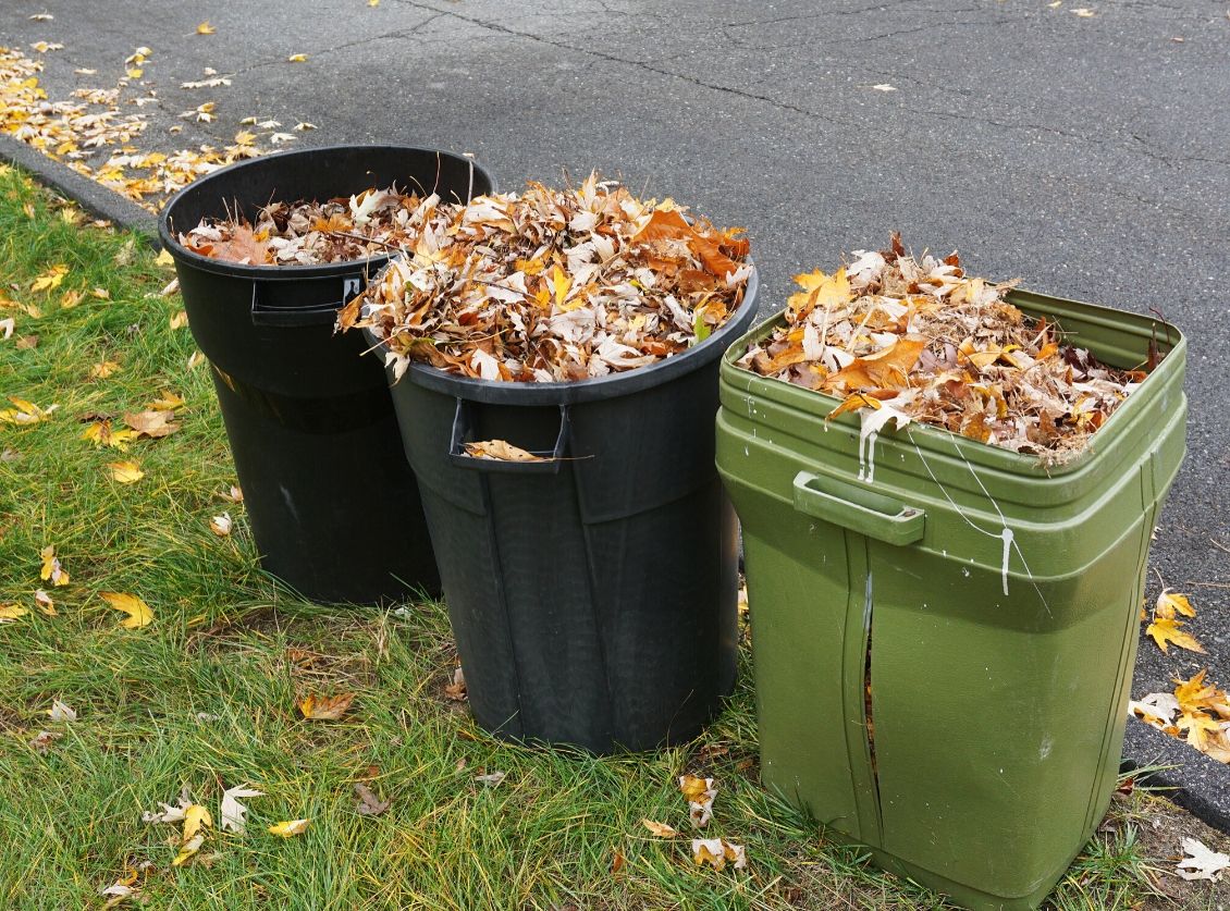 What NOT to Put in With Your Yard Waste - SCARCE